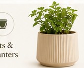 Pots