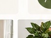 Tahani Plants Instagram image