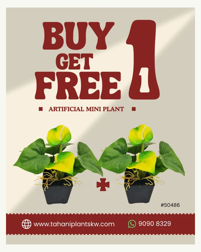 Buy1 Get1 Free Artificial Mini Anthurium Yellow Plant #50486