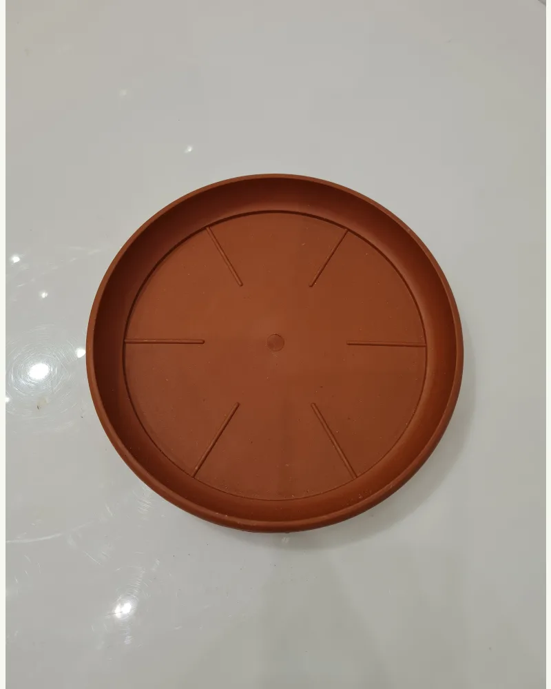Plastic Plate Small #52211