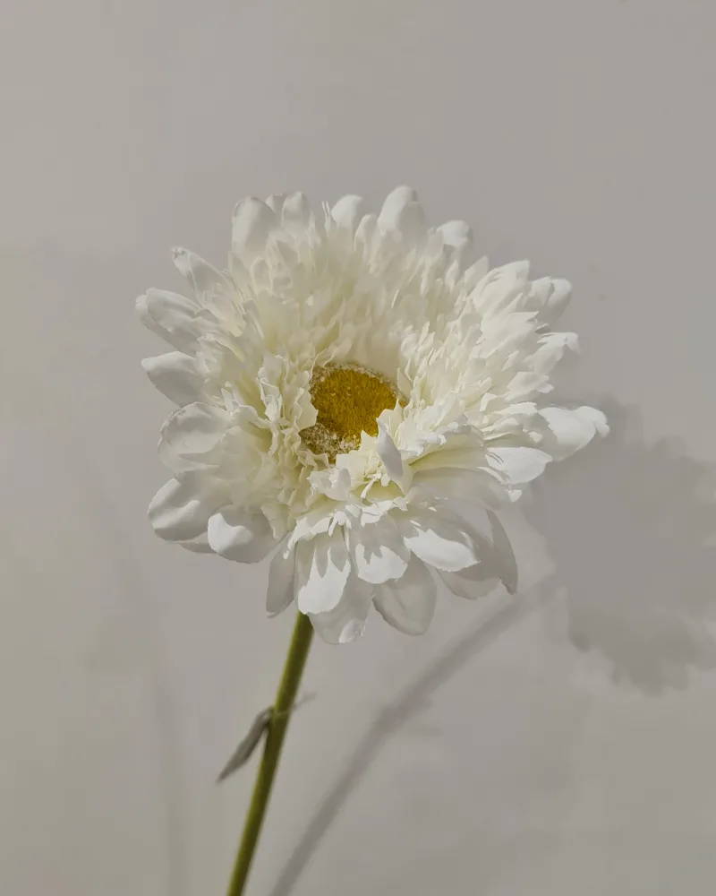 Artificial Flower Gerbera White #50571