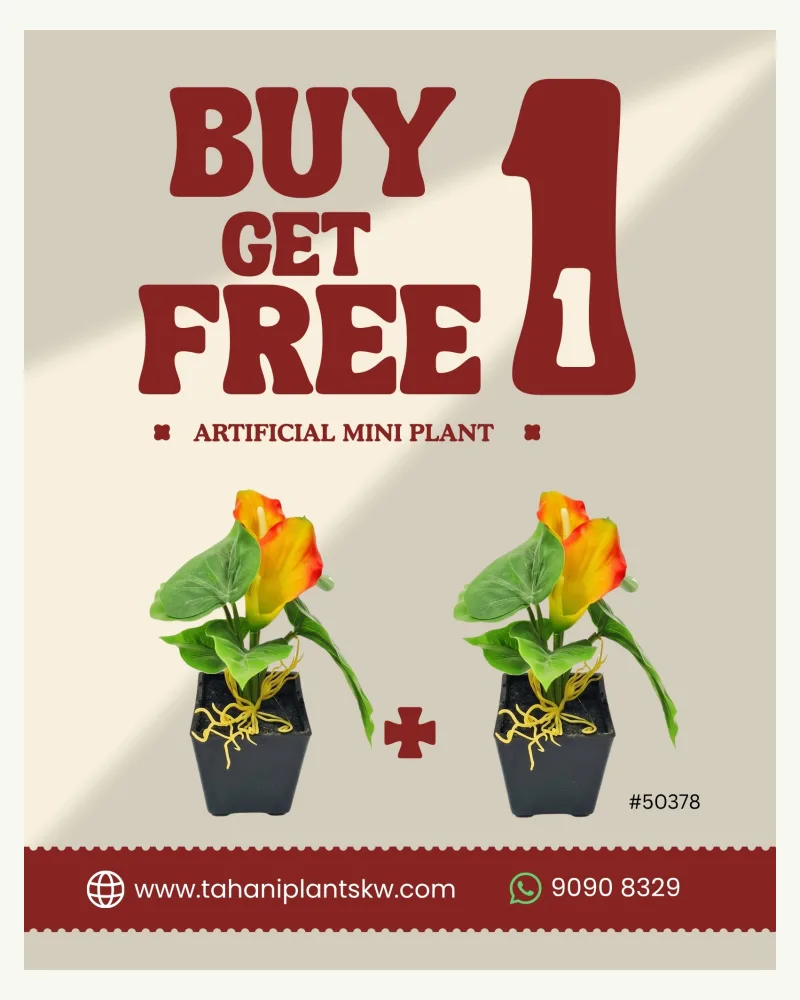 Buy1 Get1 Free Artificial Mini Calla Orange #50378