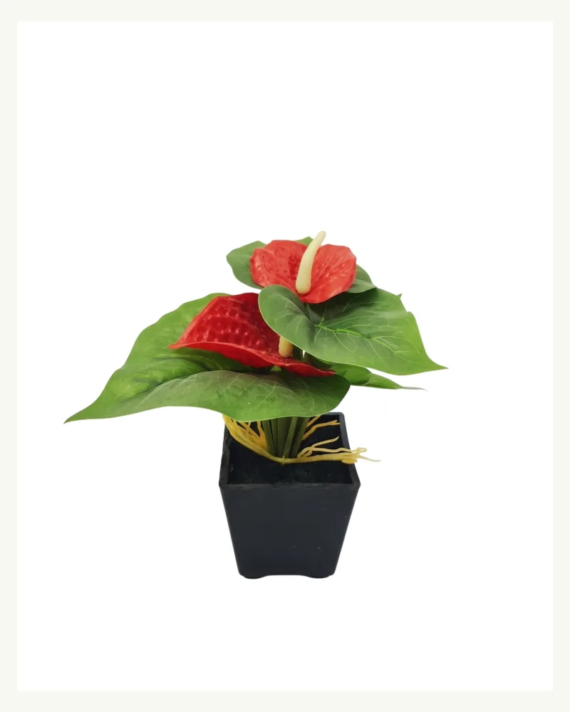Artificial Mini Anthurium Red Plant #50483