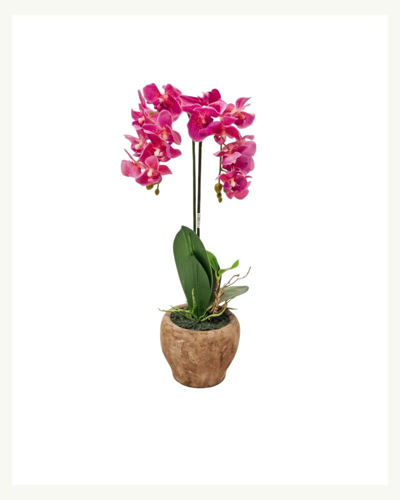 Artificial Phalaenopsis Orchid Purple Plant with Pot