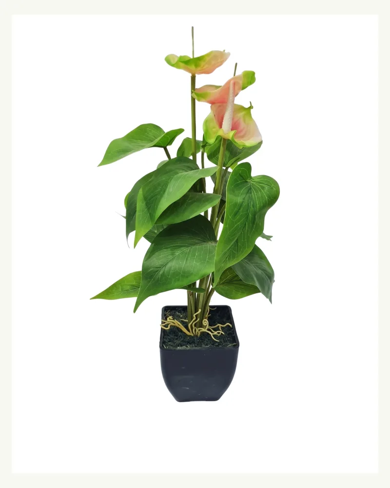 Artificial Anthurium Pink Plant #50356